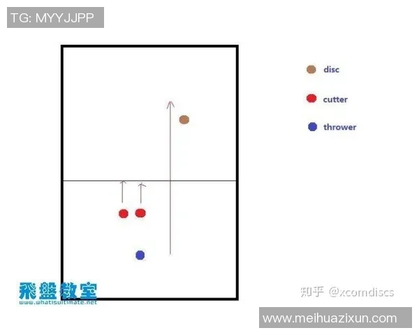 南京飞盘队防守策略解析与战术亮点全面解读